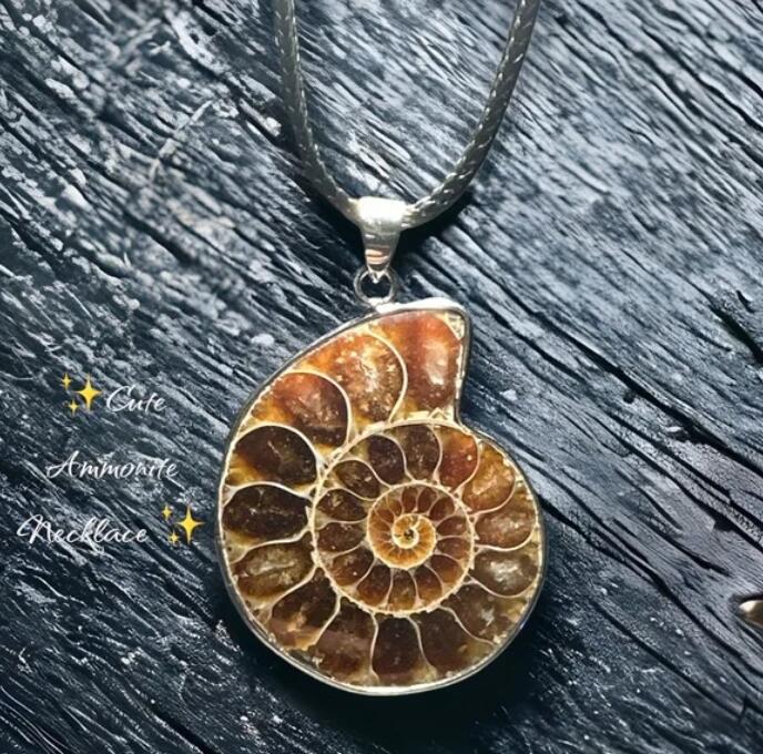 Ammonite Fossil Shell Pendant Necklace Unique Gift Fossil Mineral Stone Necklace